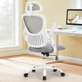 Premium Mesh Ergonomic Office Chair