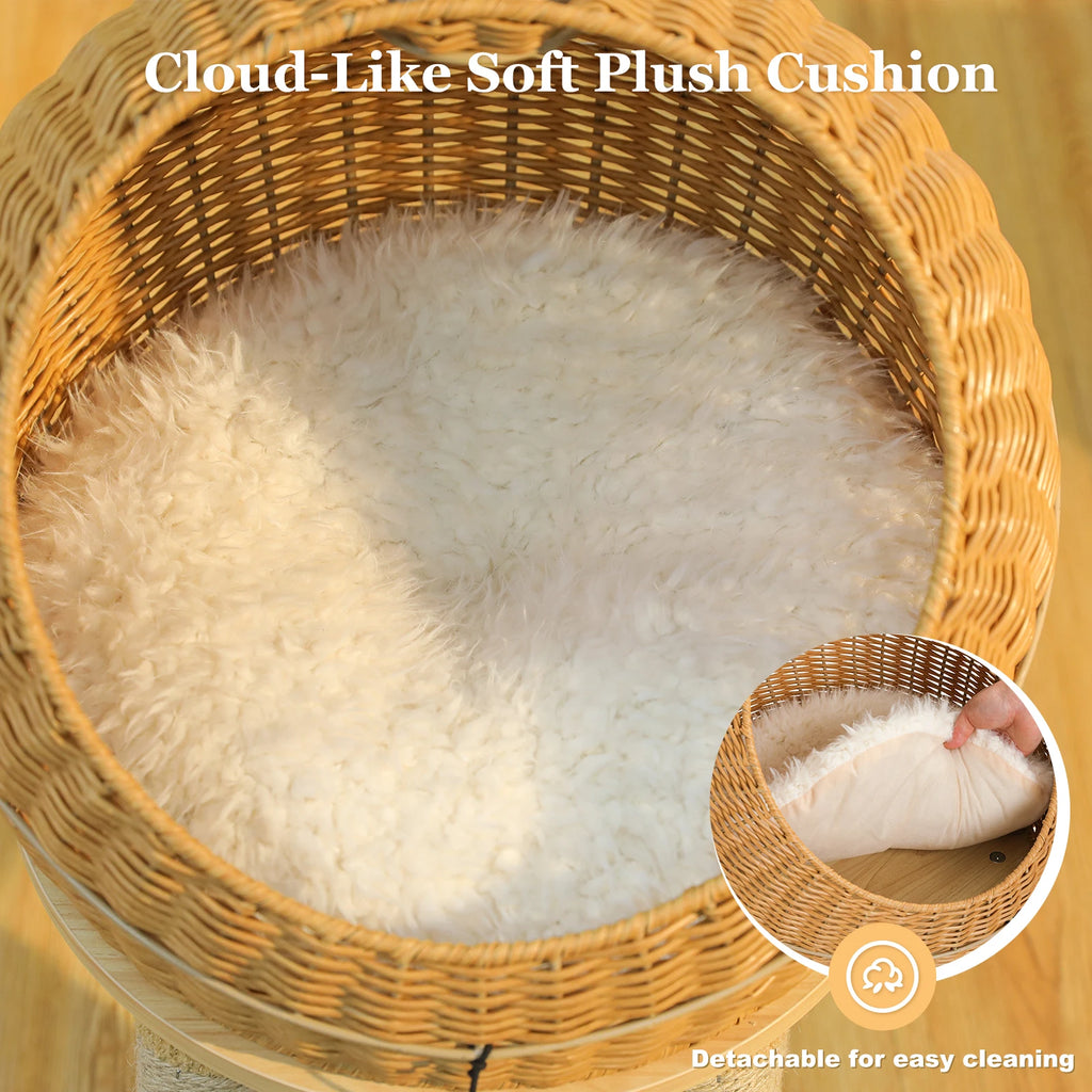 Unique Dinosaur Cat Tree Tower